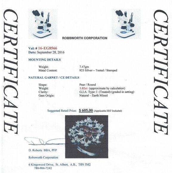 .925 Sterling Silver Snowflake Design Garnet & Cubic Zirconia Gems. Size 9. $605 - Picture 4 of 6